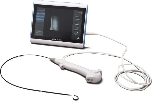 Üreteroskop Uç Detayı